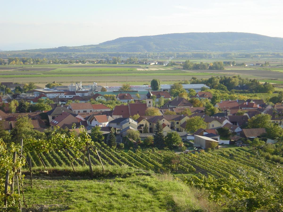 Weingut Und Gaestehaus Berger Gedersdorf Екстер'єр фото